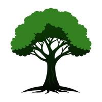 a tree with green leaves on a white background vector