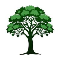 A tree with green leaves on a white background vector