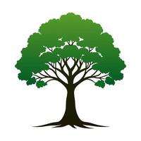 A tree with green leaves on a white background vector