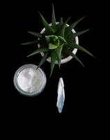 Natural organic face cream isolated on black with copy space. Cosmetics based on natural ingredients without preservatives. Concept of self-care and caring for the environment photo