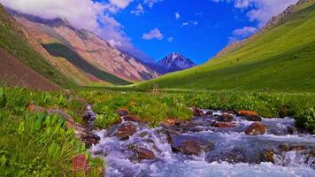 Mountain Stream between green foothills and mountains in the background video