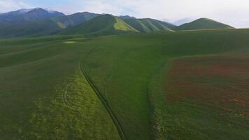 vast green hills in front of mountain range at summer evening, aerial view video