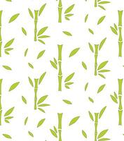 Bamboo stick and leaves graphic style illustration. Seamless pattern in transpatent background vector