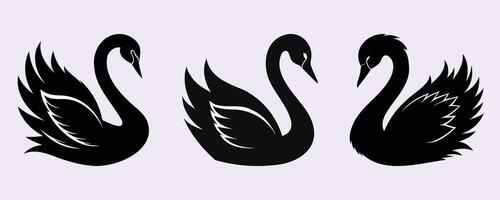 Elegant black swan silhouettes in various poses with stylized feather details, set against a light background vector