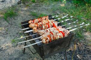 Cooking barbecue with vegetables on skewers. Roasted meat on the grill photo