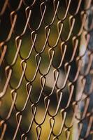 close-up view of a wire fence with blurred background photo
