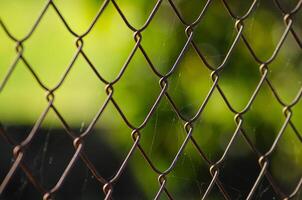 close up view of detail of wire and chain-link fence with green background photo