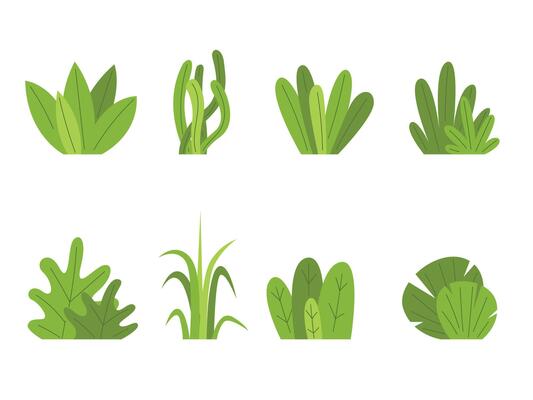 Set of shrub bush shrubbery, garden plant element