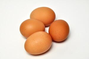 Closeup four chicken egg white background photo