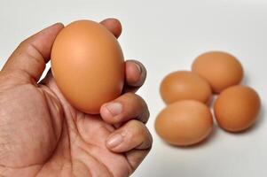 Closeup hand holding egg white background photo