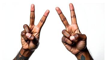 Two Hands Showing the Peace Sign, Studio Shot on White Backgroun photo
