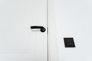 White wooden door with a black handle and light switch photo