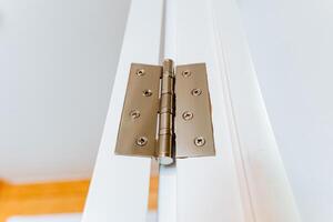 Closeup of a beige wood door hinge, resembling a plucked string instrument photo