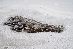 A frog drawn in snow, a terrestrial animal in freezing landscape photo