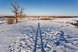 A persons shadow stretches across a snowy path under the sunlight photo