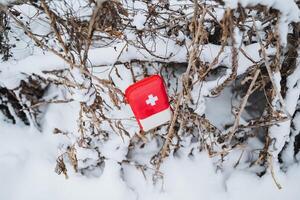 A red first aid kit lying on the snow in the forest photo