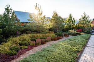 Experience the serene beauty of a garden pathway adorned with lush foliage and illuminated by the soft light of a peaceful morning photo