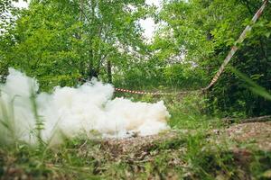 Smoke billowing from the forest floor, amid trees and grass photo
