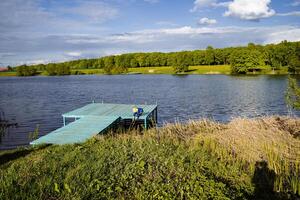 A serene blue dock is situated on the tranquil shore of a lake photo