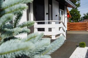 A charming house with a white porch and a tall blue pine tree photo