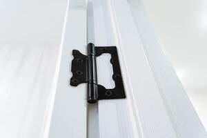 This image features a detailed closeup of a black door hinge on a white door photo