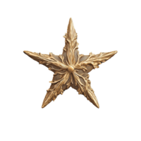 Ornate gold star with intricate leaf patterns on display png