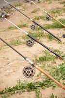 Fishing rods neatly arranged on grass next to wire fencing photo