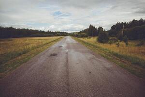 a road that is going through a field with trees on the side of it photo