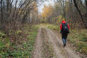 Girl walking alone on the road in the forest, traveling with backpack in nature, view of man from behind. photo