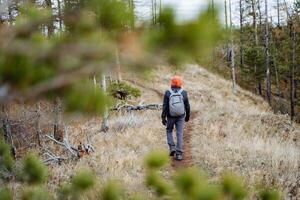 A tourist with a backpack walks through the forest alone, traveling with a backpack on his back, a view from the back of a man on a hike, an adventure in nature, hiking in the mountains. photo