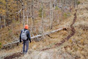Hiking on a mountain path in the forest, solo adventure, back view of a man with a backpack walking on the road in the mountains. photo
