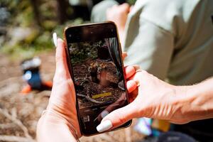 A person holding up a phone with a picture of a bird on it photo