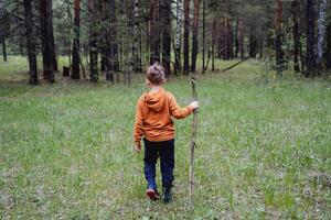 The boy was lost in the forest looking for a way home, the child was left alone in an unfamiliar place, summer holidays in nature, holding a stick in his hand, walking on the grass. photo