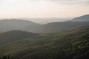 Dense taiga forest from above, bird's-eye view, drone shooting, flying over the forest, light haze in the distance, green trees, mixed forest photo