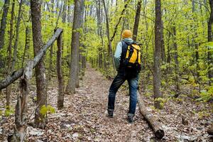 Man view from behind standing in the forest backpack hanging on his back, yellow hat, warm clothes, early spring walk in the park, tourist traveler, hiking in the mountains photo