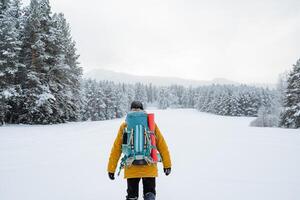 brave traveller. hiking backpack on the back of the traveler. Snowy forest and rocks. Climbing the mountain in winter. Survival in the wild. photo