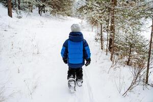 A child walking through the woods in the snow photo