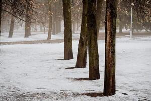A man standing on a bench in a park photo