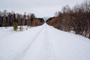 A snowy road in the middle of a forest photo