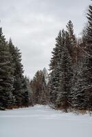 A snowy river surrounded by trees and snow photo