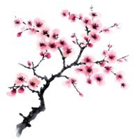 Blossoming cherry tree branch in spring season png