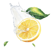 Lemon splashing into water with fresh leaves png