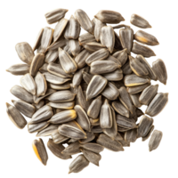 Sunflower seeds arranged in a circular pattern png