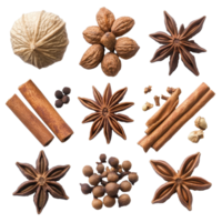 Collection of various spices displayed elegantly png