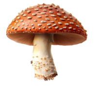 Bright red mushroom with white spots and stem png