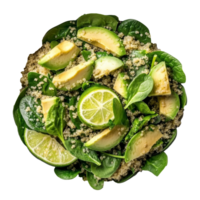 Fresh spinach and quinoa salad with avocado slices png
