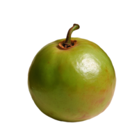 Green apple with shiny surface and stem detail png
