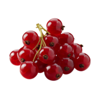 Fresh red currants arranged neatly for display png
