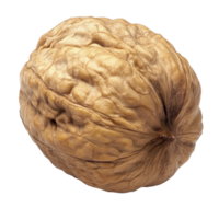 Walnut with textured shell resting on a surface png