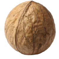 Large walnut shell displayed on a white background png